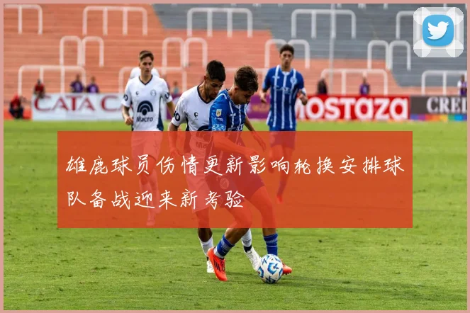 雄鹿球员伤情更新影响轮换安排球队备战迎来新考验