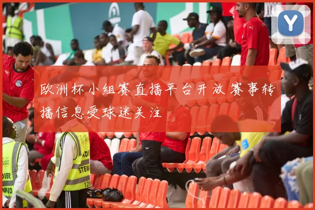 欧洲杯小组赛直播平台开放 赛事转播信息受球迷关注