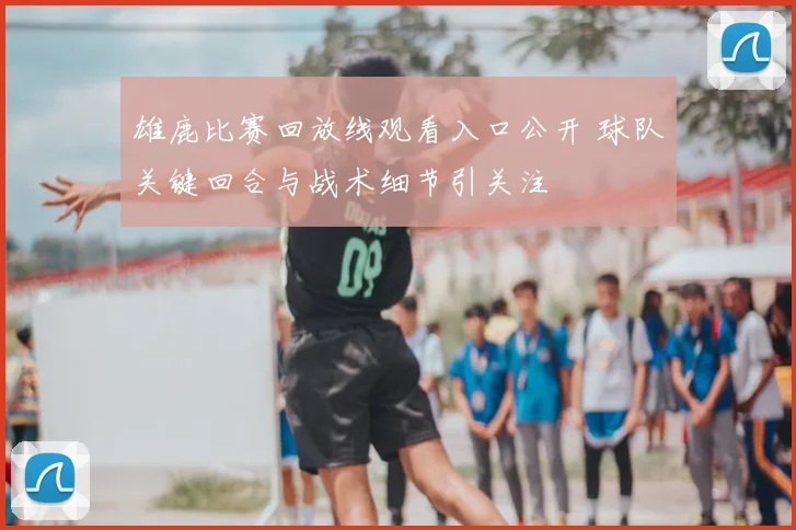 雄鹿比赛回放线观看入口公开 球队关键回合与战术细节引关注