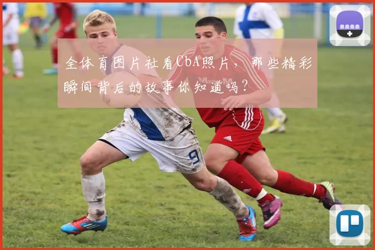 全体育图片社看CbA照片，那些精彩瞬间背后的故事你知道吗？